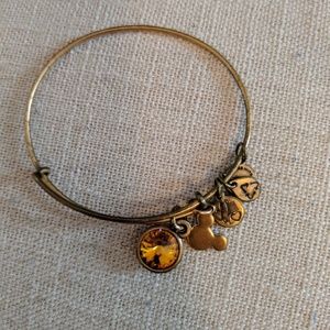 Disney November Alex and Ani. Bronze